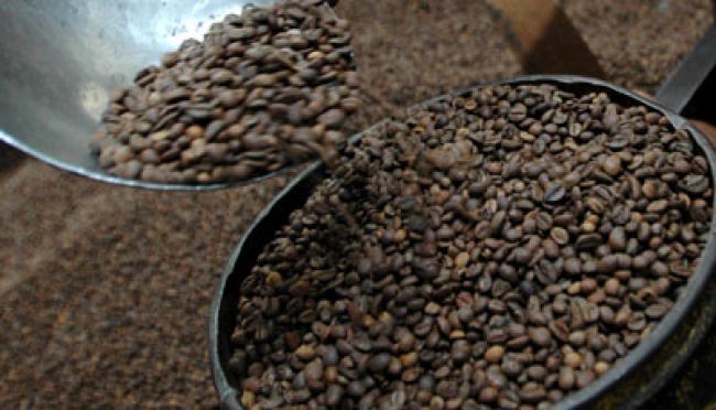 Kopi Sulawesi Selatan